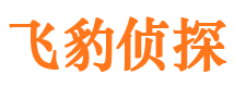 饶阳侦探公司